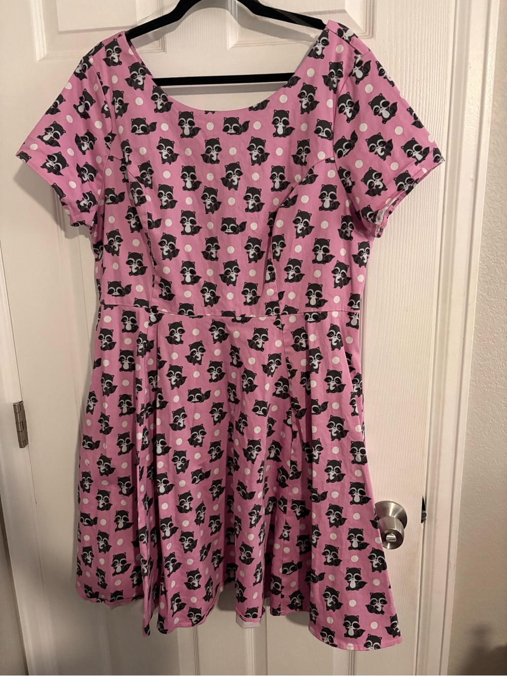 Woman’s Pink Playful Raccoon Print Dress with pockets